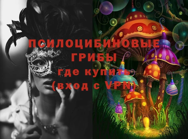 ECSTASY Балабаново