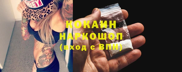 индика Баксан