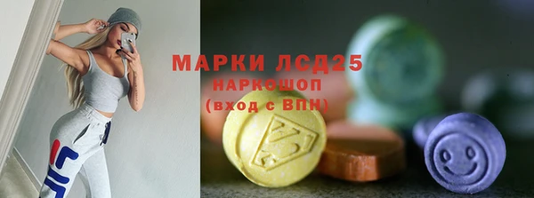 индика Баксан