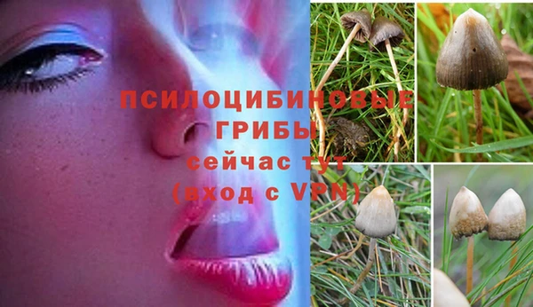ECSTASY Балабаново