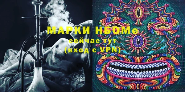 индика Баксан