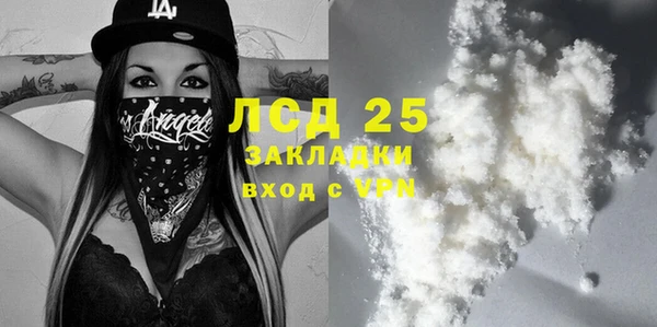 индика Баксан