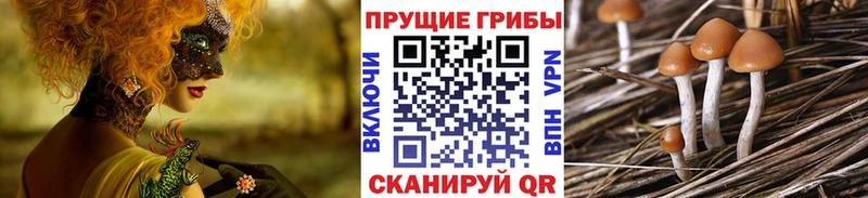 Псилоцибиновые грибы ЛСД  как найти   Рудня 